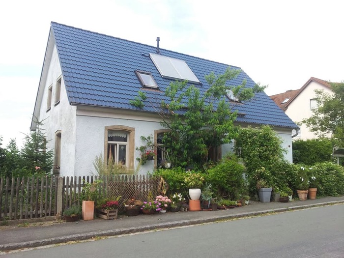 Alte Schule Floristik