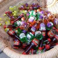 Fasching Plech